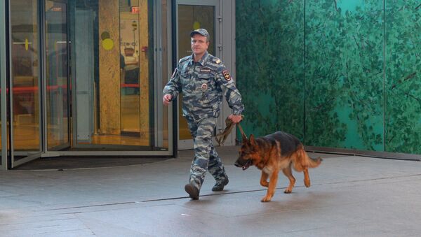 Un agente de seguridad ruso con un perro - Sputnik Mundo