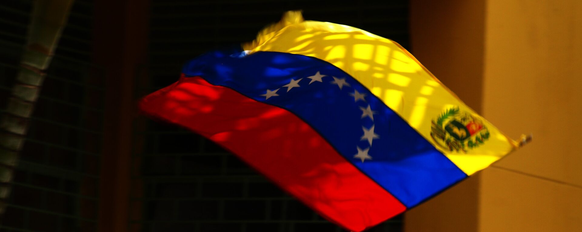 Bandera de Venezuela - Sputnik Mundo, 1920, 17.08.2021