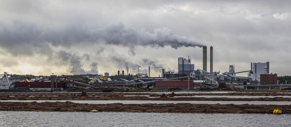 Planta de la compañía finlandesa UPM Planta de la compañía finlandesa UPM - Sputnik Mundo