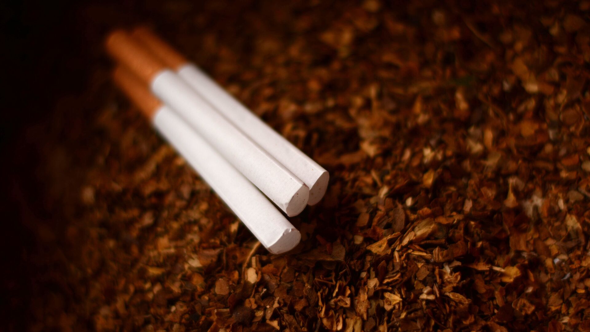 El consumo de tabaco es la principal causa de enfermedad, discapacidad y muerte en el mundo.  - Sputnik Mundo, 1920, 06.12.2022