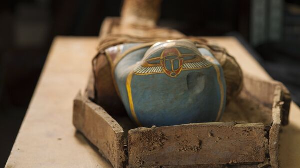 La momia descubierta en el oasis de El Fayum, Egipto - Sputnik Mundo