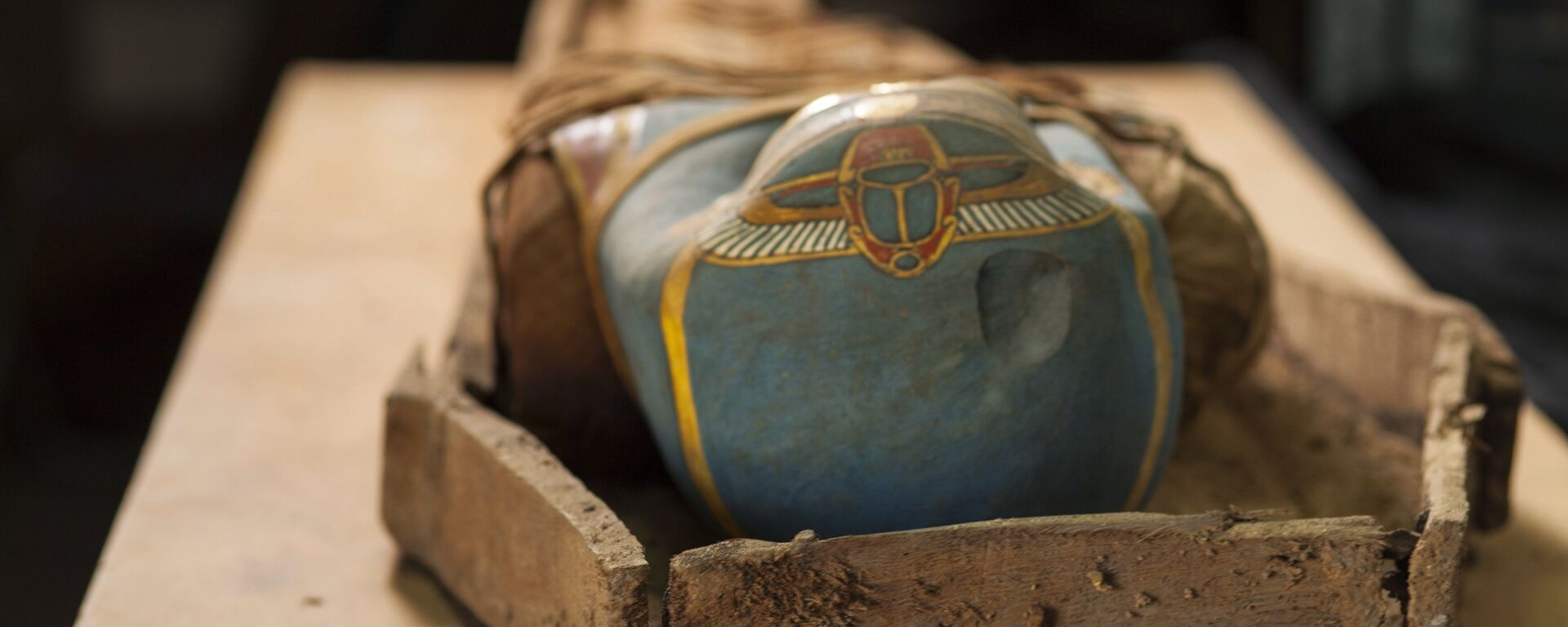 La momia descubierta en el oasis de El Fayum, Egipto - Sputnik Mundo, 1920, 04.02.2021