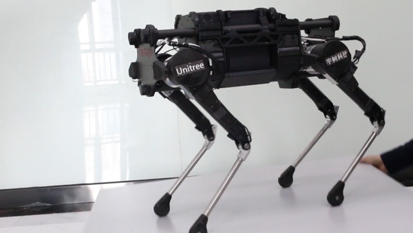 El can robótico LaikaGo - Sputnik Mundo
