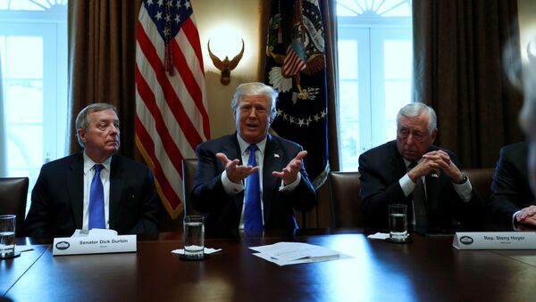 El presidente de EEUU, Donald Trump (centro), durante una de las reuniones sobre la reforma migratoria (archivo) - Sputnik Mundo