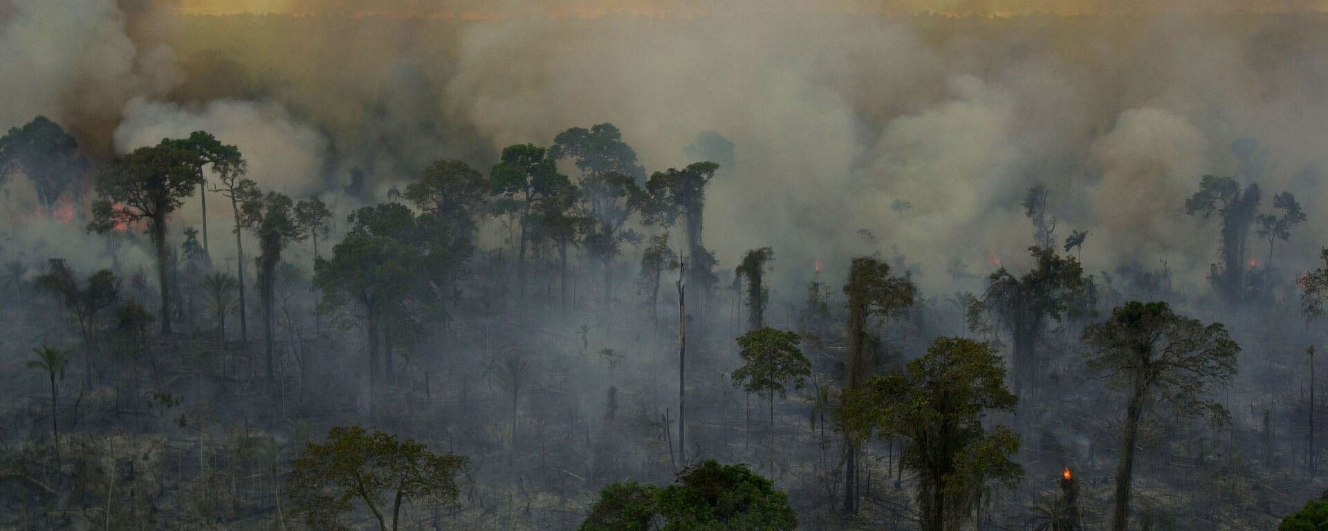 Incendios forestales en la Amazonía brasileña (archivo) - Sputnik Mundo, 1920, 01.07.2021