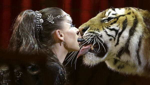 El frío ruso, bellas mujeres y un beso de tigre: las fotos más impactantes de la semana - Sputnik Mundo