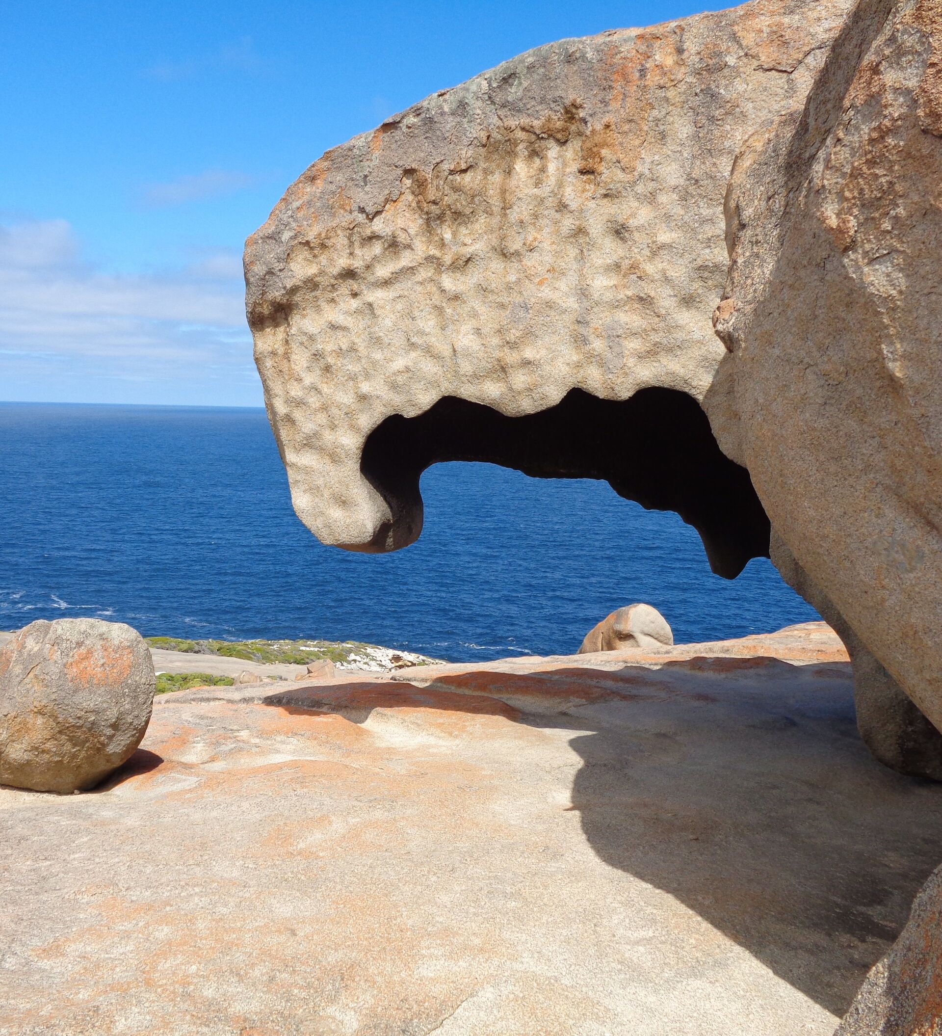 Todo 25+ Imagen monstruo en una playa de australia El último