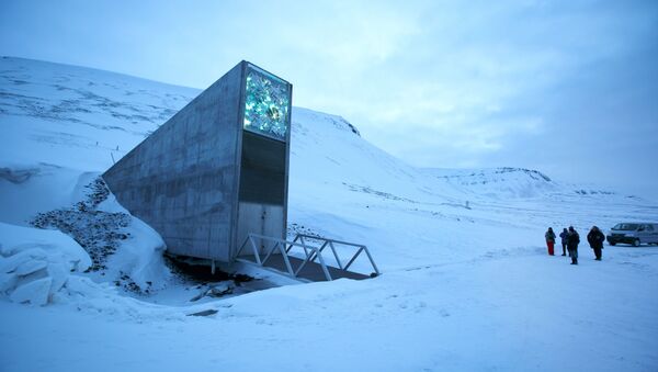La Bóveda Global de Semillas de Svalbard - Sputnik Mundo