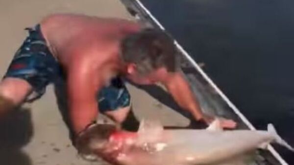 Un tiburón se aferra al brazo de un pescador, pero la víctima en esta historia no era él - Sputnik Mundo