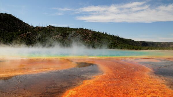 El Parque nacional de Yellowstone (imagen ilustrativa) - Sputnik Mundo