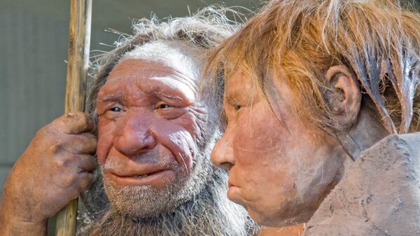 Reconstrucción plástica de dos neandertales en el museo de Mettmann, en Alemania - Sputnik Mundo