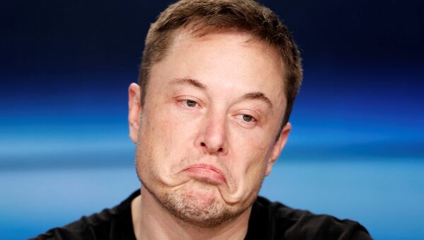 Elon Musk, ejecutivo de Tesla Motors y SpaceX - Sputnik Mundo
