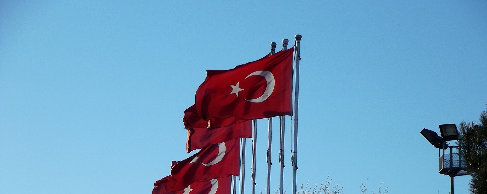 Banderas de Turquía - Sputnik Mundo, 1920, 22.12.2022