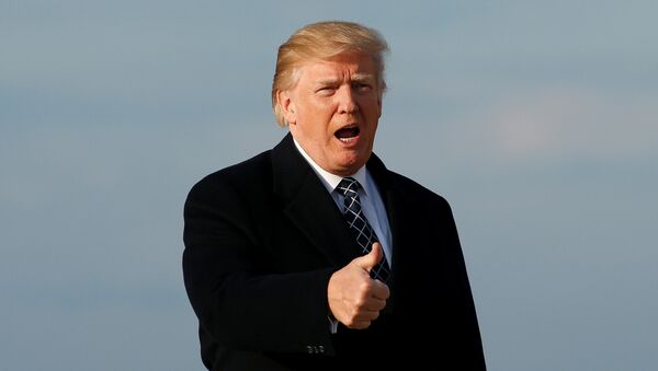 U.S. President Donald Trump gives thumbs-up as he returns from Palm Beach, Florida, at Joint Base Andrews in Maryland, U.S., March 25, 2018 - Sputnik Mundo