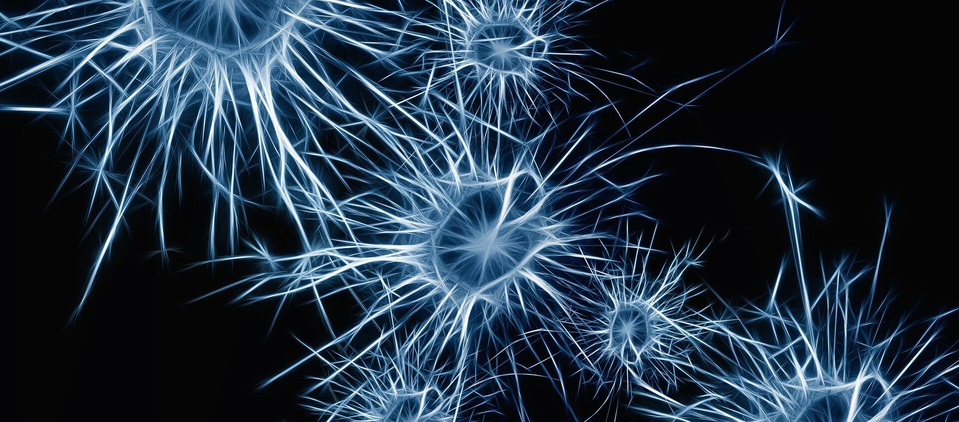 Neuronas (imagen referencial) - Sputnik Mundo, 1920, 19.01.2021