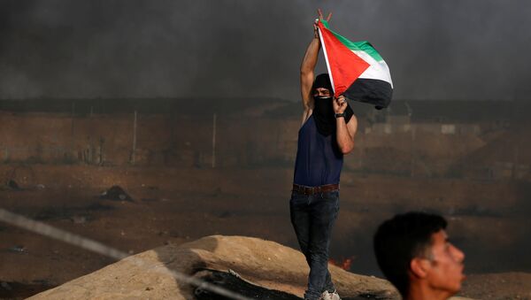 Un manifestante con la bandera de Palestina - Sputnik Mundo