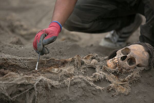 El sacrificio de niños más grande: nuevos hallazgos arqueológicos de la cultura Chimú en Perú - Sputnik Mundo