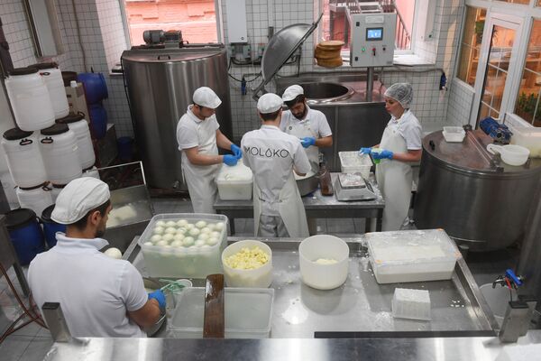 Producción de queso en el restaurante Quesería - Sputnik Mundo