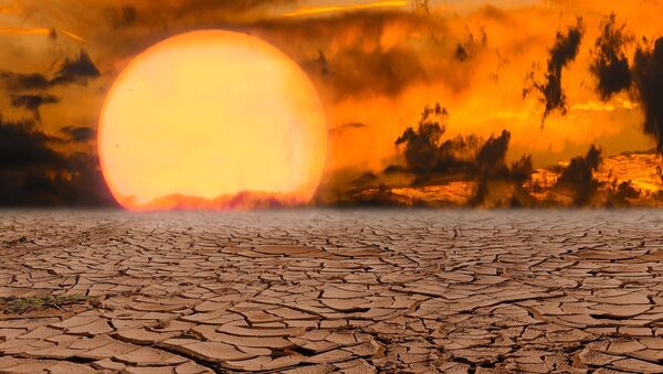 Una catástrofe ecológica, imagen ilustrativa - Sputnik Mundo