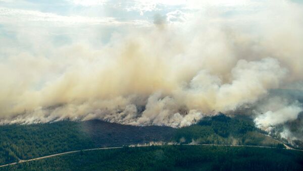 Incendios forestales en Suecia - Sputnik Mundo