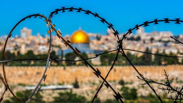 Alambre de púas en un paisaje de Jerusalén - Sputnik Mundo
