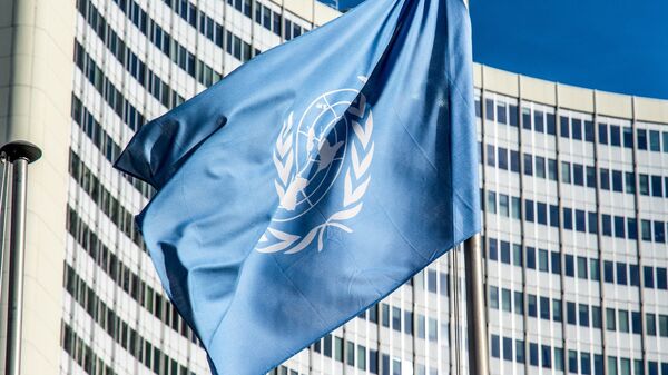 La bandera de la ONU - Sputnik Mundo