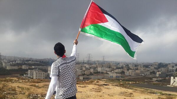 Un hombre ondea una bandera de Palestina - Sputnik Mundo