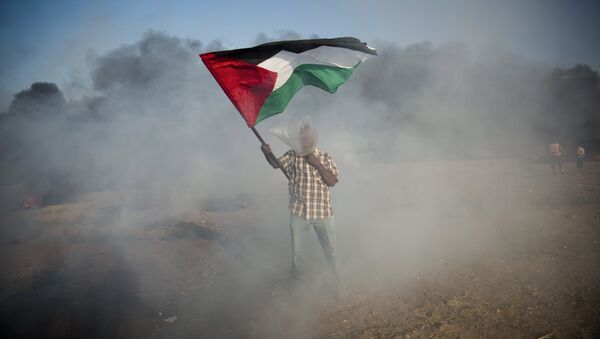 Un palestino con la bandera durante las protestas en Gaza - Sputnik Mundo