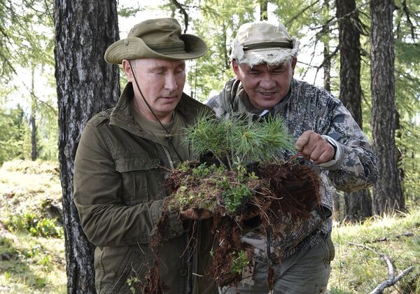 Vacaciones 'salvajes': Vladímir Putin pasa el fin de semana en Siberia - Sputnik Mundo