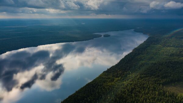 Un lago forestal en Suojarvi - Sputnik Mundo