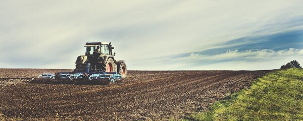 Producción agrícola Producción agrícola - Sputnik Mundo