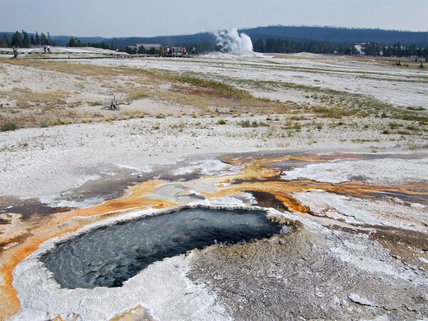 La fuente termal Ear Spring, en Yellowstone (EEUU) La fuente termal Ear Spring, en Yellowstone (EEUU) - Sputnik Mundo