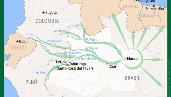 Las rutas del narcotráfico en la Amazonía - Sputnik Mundo