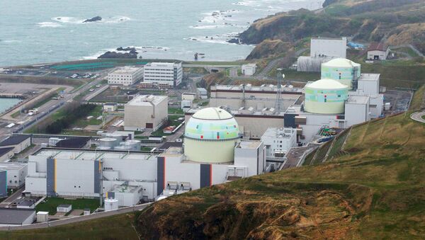 Una central de energía nuclear en Japón, imagen referencial - Sputnik Mundo