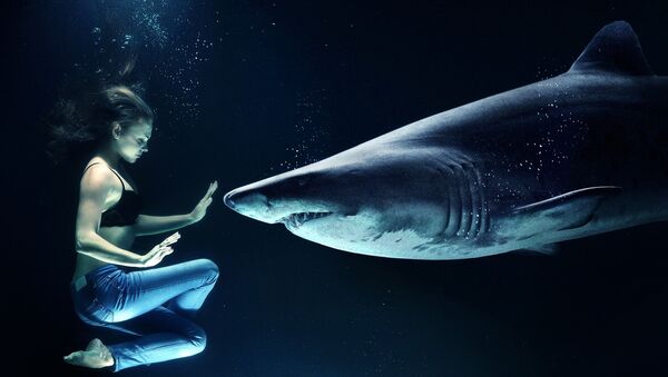 Una mujer y un tiburón - Sputnik Mundo