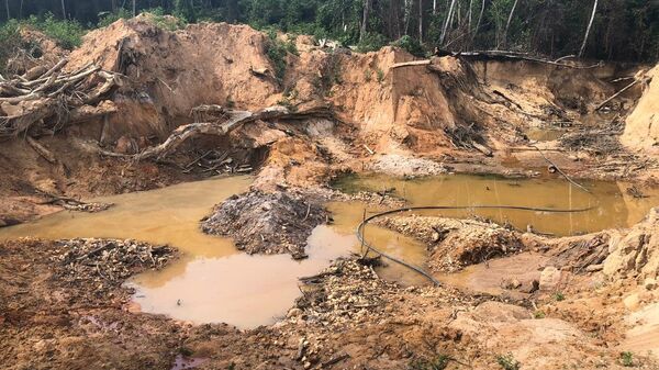 Una mina de oro ilegal en Mato Grosso - Sputnik Mundo