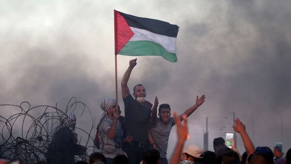 Unos jóvenes con la bandera palestina en las protestas en la frontera con Israel - Sputnik Mundo