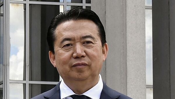 Meng Hongwei, exjefe de Interpol - Sputnik Mundo