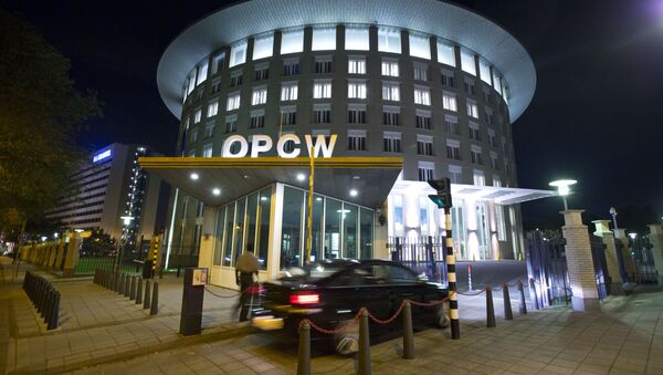 La sede de la OPAQ en La Haya - Sputnik Mundo