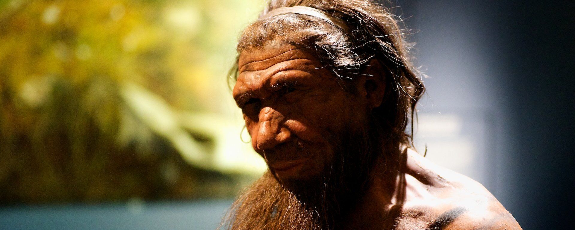 Un neandertal (imagen referencial) - Sputnik Mundo, 1920, 03.04.2020
