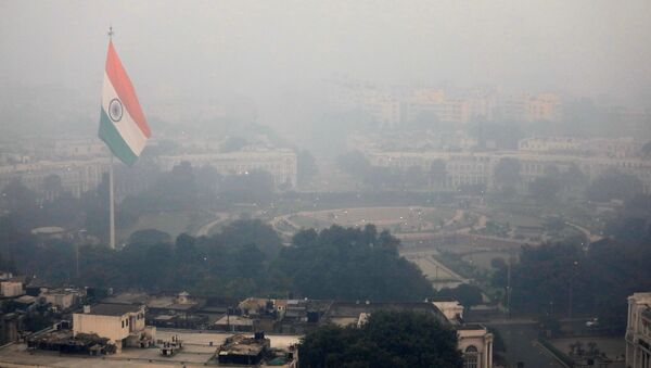 Contaminación en Nyeva Delhi, la India - Sputnik Mundo