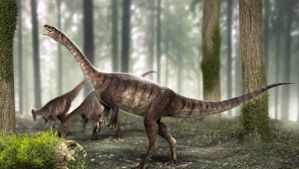 El dinosaurio de cuello largo más antiguo del mundo - Sputnik Mundo