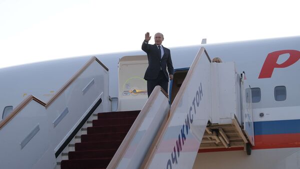 Vladímir Putin arriba a Buenos Aires para participar en la cumbre del G20 - Sputnik Mundo