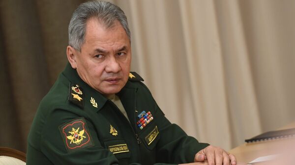 Serguéi Shoigú, ministro de Defensa de Rusia (archivo) - Sputnik Mundo