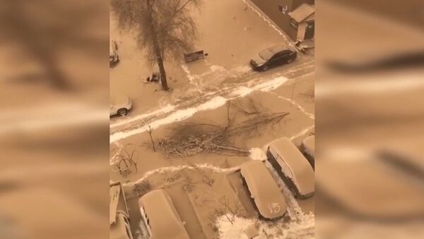 Una rara tormenta de nieve y arena azota el noroeste de China - Sputnik Mundo