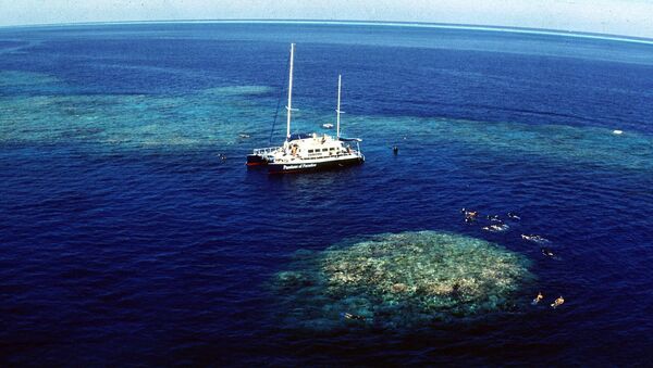 Tourists snorkel around Upolu Cay on the Great Barrier Reef near Cairns off the Australian north east coast - Sputnik Mundo