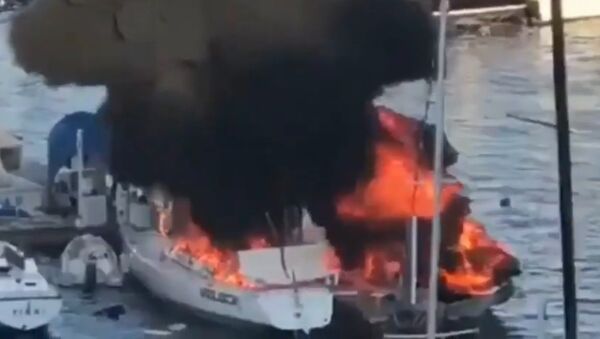 Una lancha pesquera explota en medio un puerto en México: momentos de horror - Sputnik Mundo