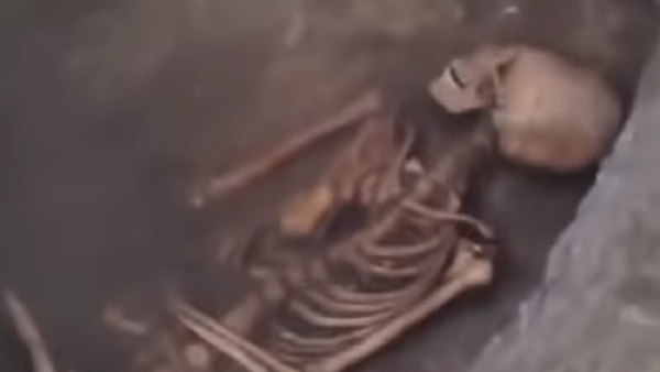 Hallan un esqueleto con cráneo alienígena en el sur de Rusia - Sputnik Mundo