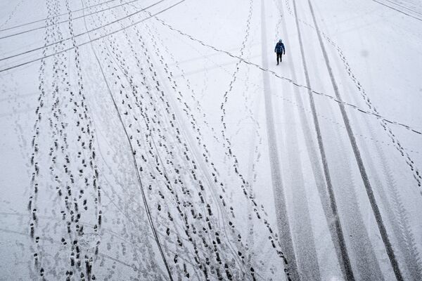 Tigres, modelos y mucha nieve: las fotos más destacadas de la semana - Sputnik Mundo