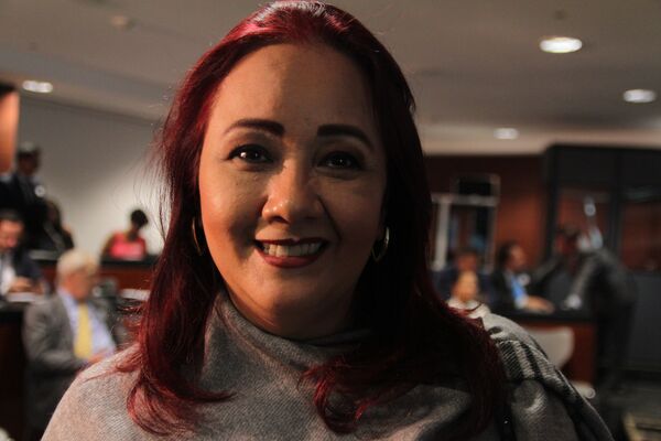 La senadora Cecilia Pinedo en el Foro estratégico sobre energía e inversión en el Senado mexicano La senadora Cecilia Pinedo en el Foro estratégico sobre energía e inversión en el Senado mexicano - Sputnik Mundo